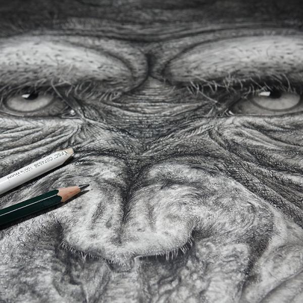 Chimpanzé / détail - graphite et encre sur papier, 45 x 60 cm, 2018